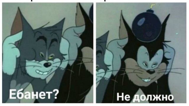 14 фактов о нашей жопе