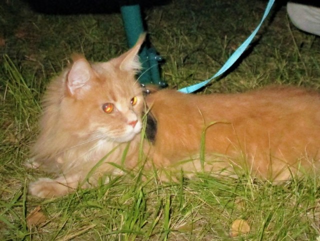 19 познавательных фотографий, раскрывающих невидимую сторону вещей