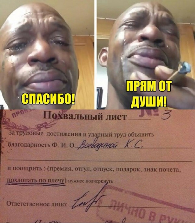 Достижения за год мем