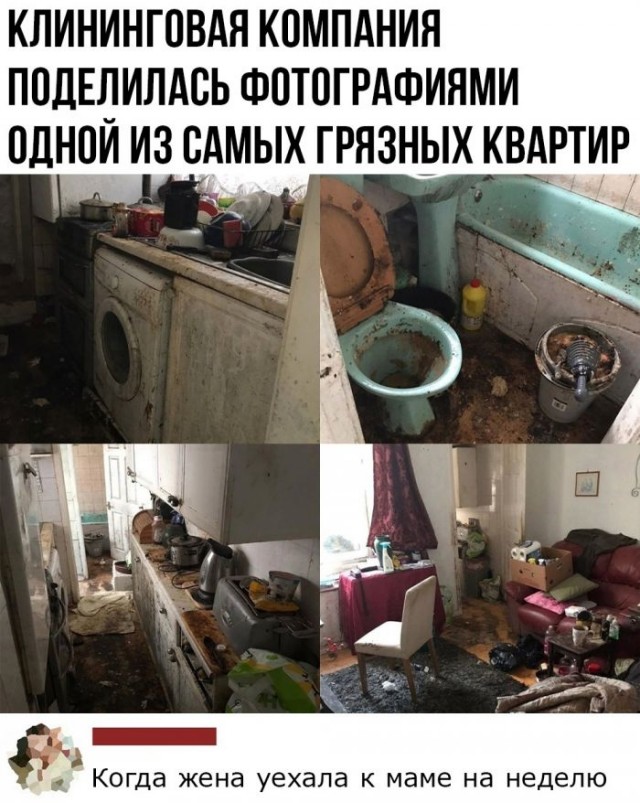 Забавные комментарии из социальных сетей (10.08.21)