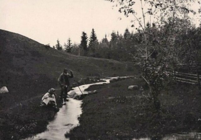 История в фотографиях 26.08.2021