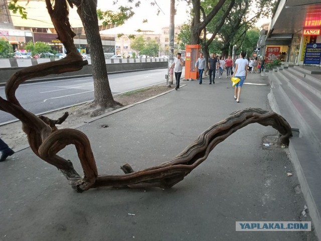 10 дней в Ереване
