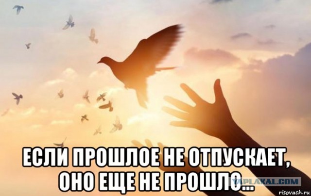 Тут пост и фильм про дружбу. Не верите в дружбу – походите мимо)