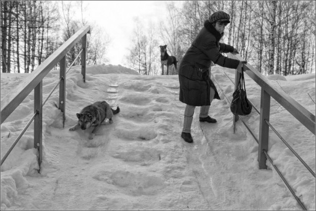 Так себе картинки 15.12.21