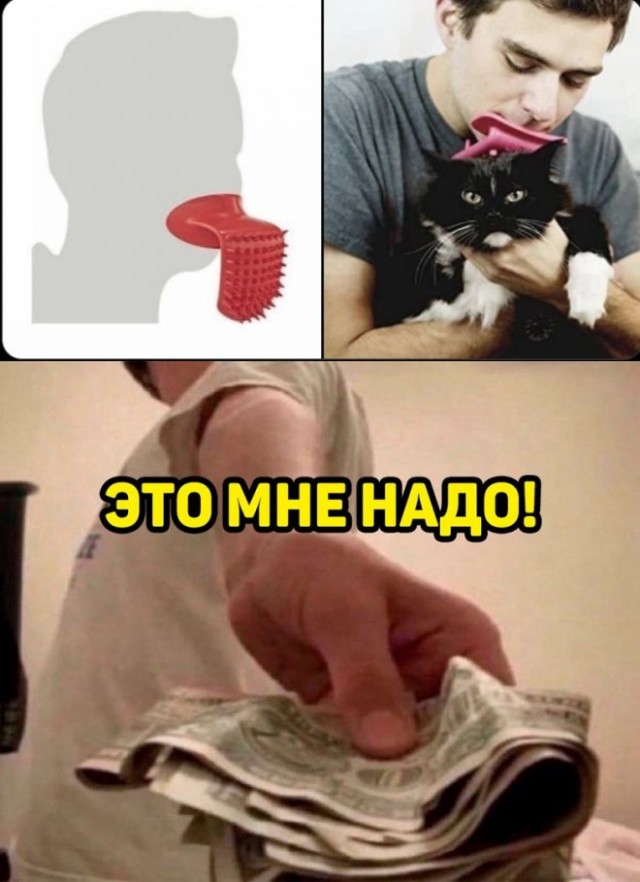 Картинки и мемы для настроения  -  9