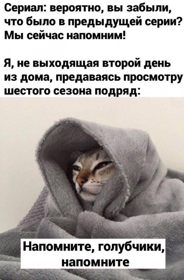 Дурацкие картинки