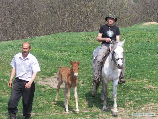 Зеленый (сельский) туризм в Моринцах (Украина)