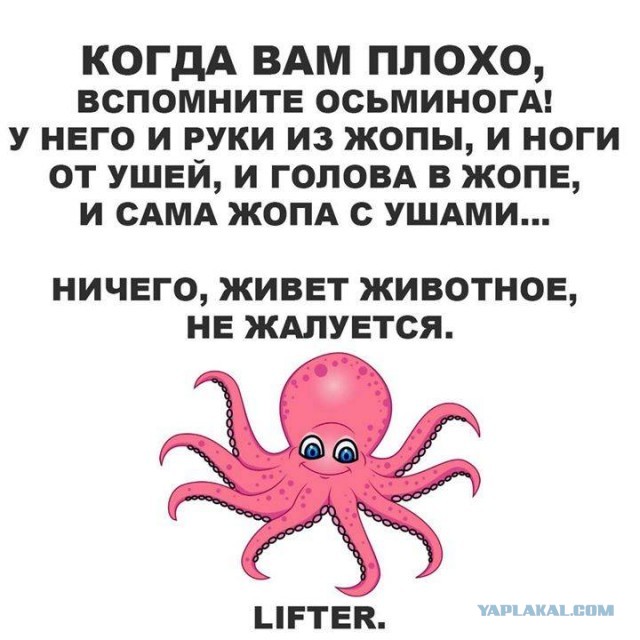 В 1949 году молодой японец Кихачиро Оницука ел дома салат с морепродуктами