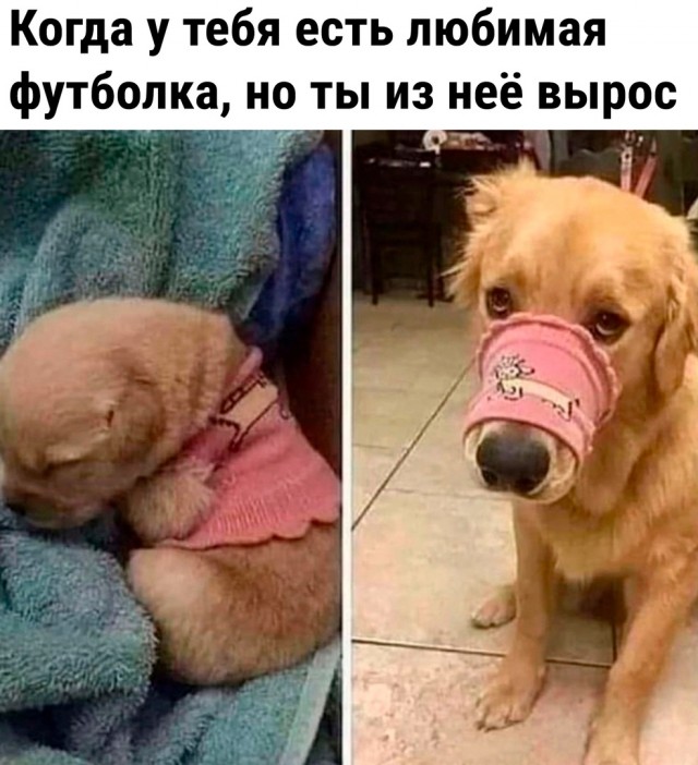 Так себе картинки 17.09.22