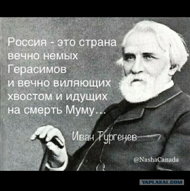 Референдумы в ДНР и ЛНР признали состоявшимися