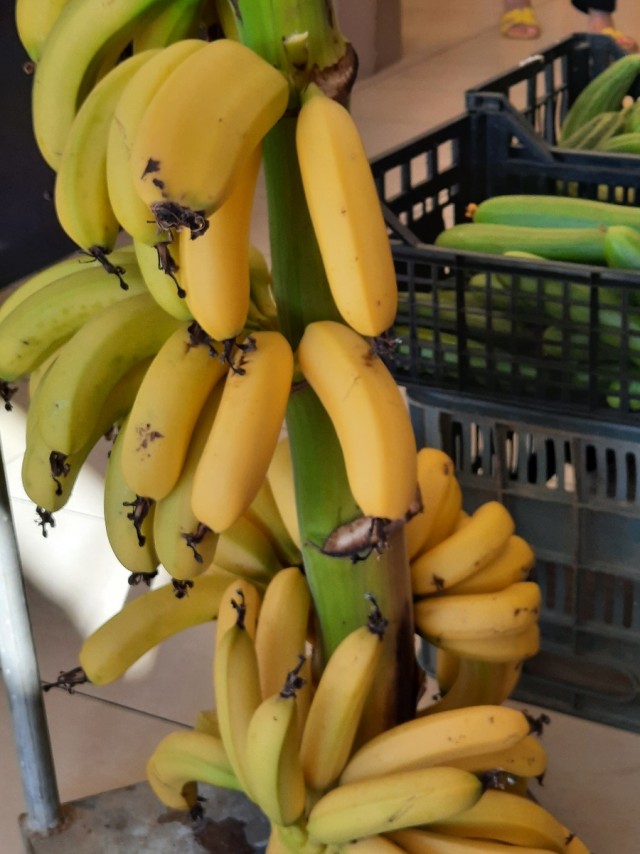 Импортные продукты в СССР