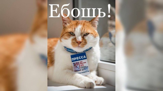 Обстрелы Киева и других городов Украины