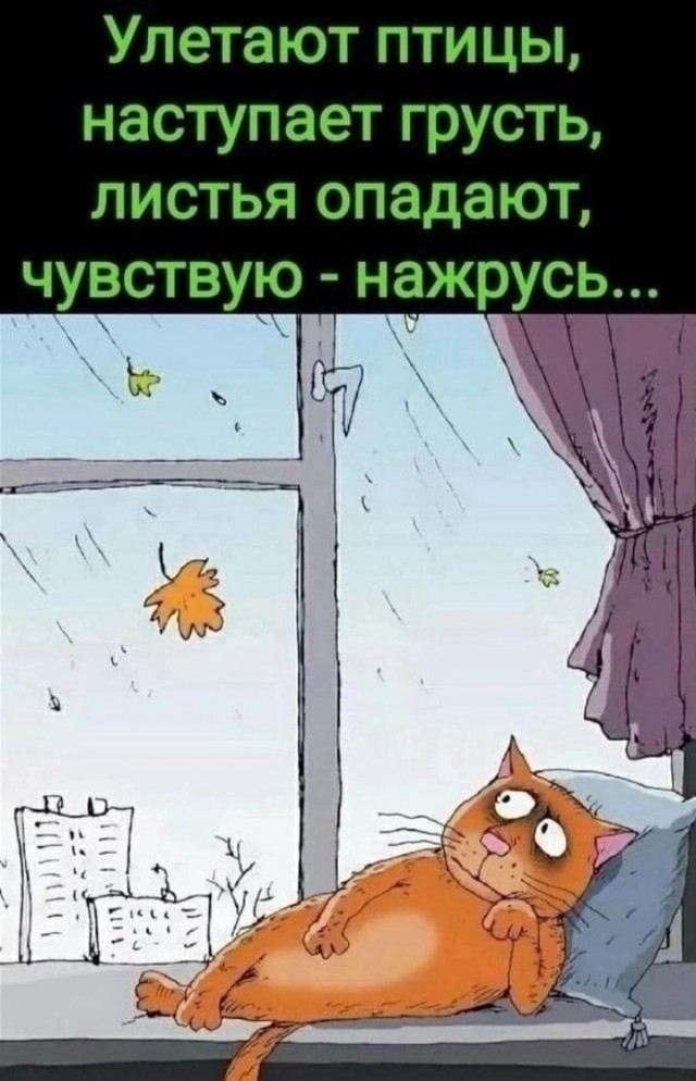 Так себе картинки 04.11.22