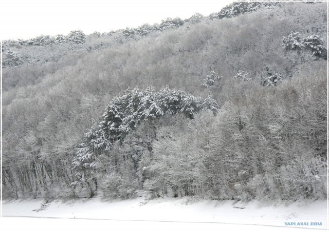 Крым. Терновка. Зимние дороги.
