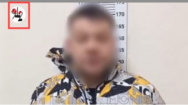 Стая собак терроризирует жителей Верхней Пышмы