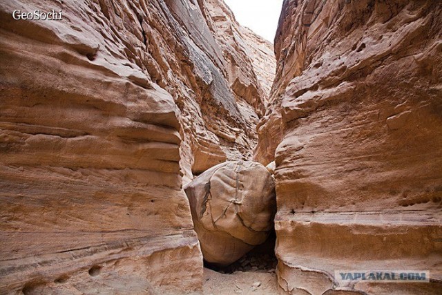 Синайские приключения. Шарм-эш-Шейх и окресности