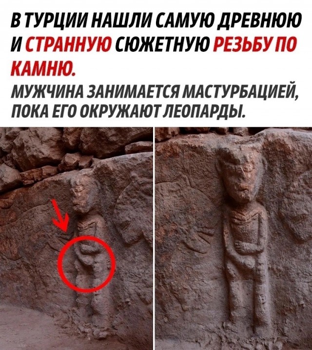 Немного картинок для настроения - 137