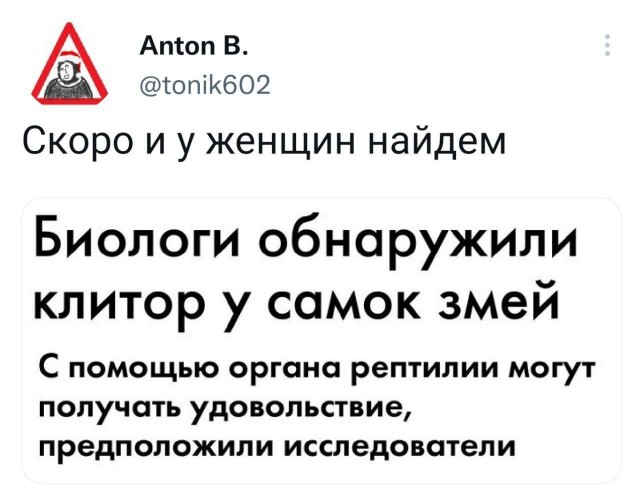 Твитота