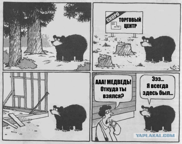 Свиньи добрались до Европы