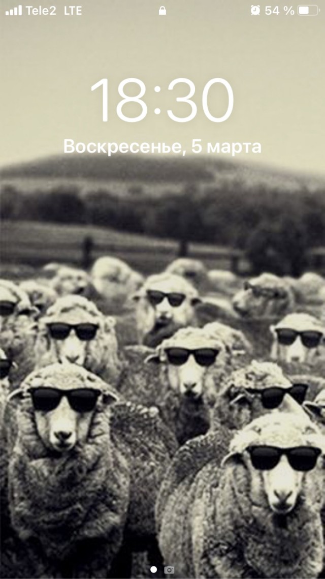 У кого какие обои на телефоне