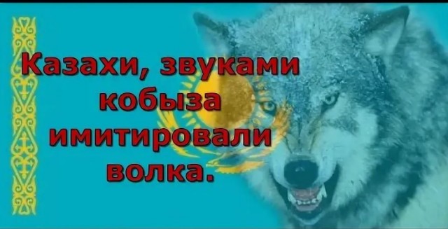 казах волка