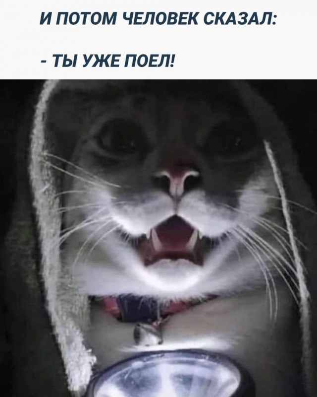 Нуштош 19.04.2023