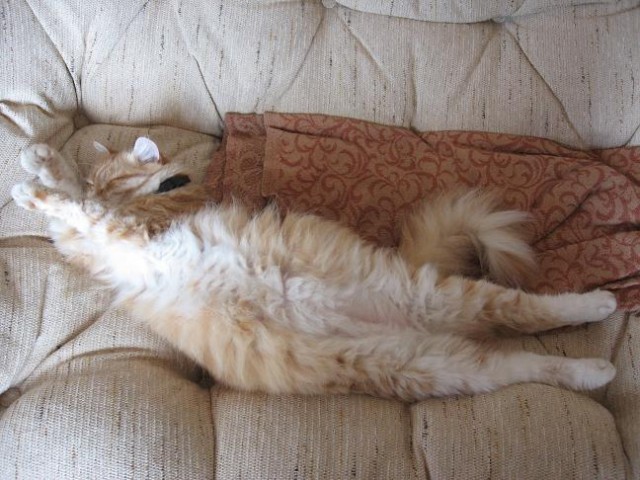 Ты кто такой?