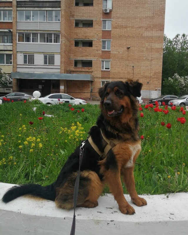 Всё-таки четверг