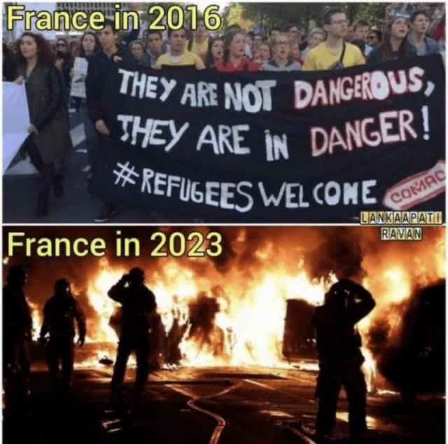 Они совершенно не опасны