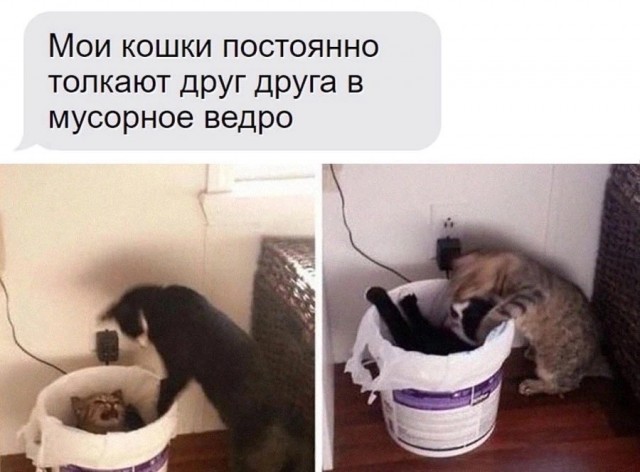 Так себе картинки 12.07.23