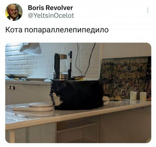 Скупка краденого из сети 09-08-2023