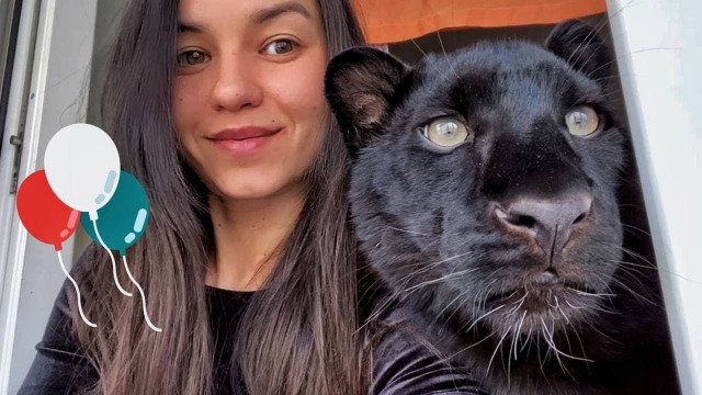 Уот такой Котовторник с Собакочетвергом
