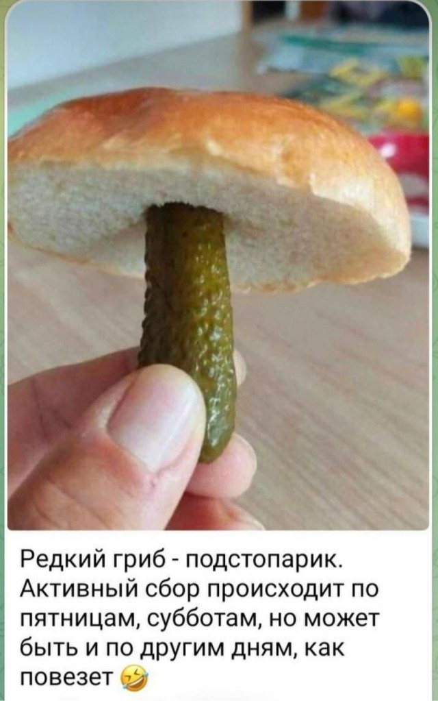 Вот и мне счастье подвалило