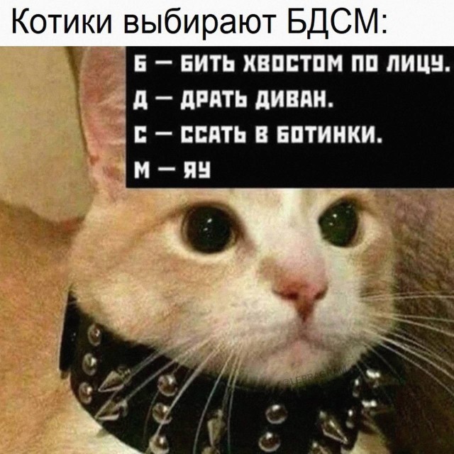 Пятничные тРРРидцать тРРРи