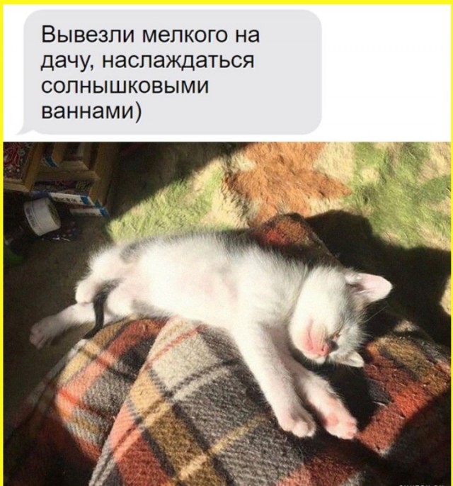 ТРРРидцать тРРРи от 7 мая