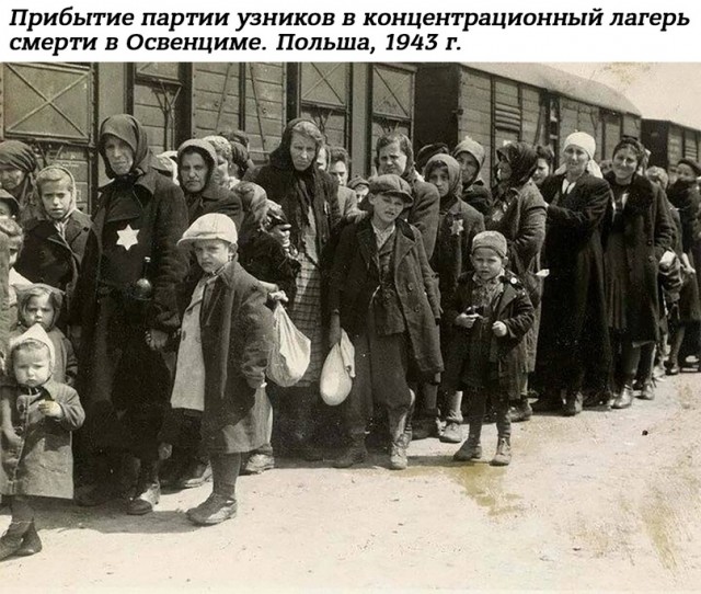 Небольшая подборка истрических фото (29.05)