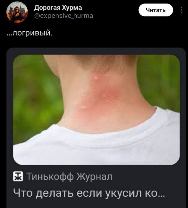 Нуштош 13.06.2024