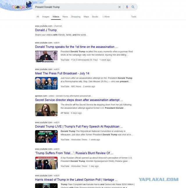 Илон Маск показал, что у Google есть запрет на поиск президента Дональда Трампа