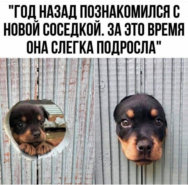 Завалялось тут случайно немного забавных картинок