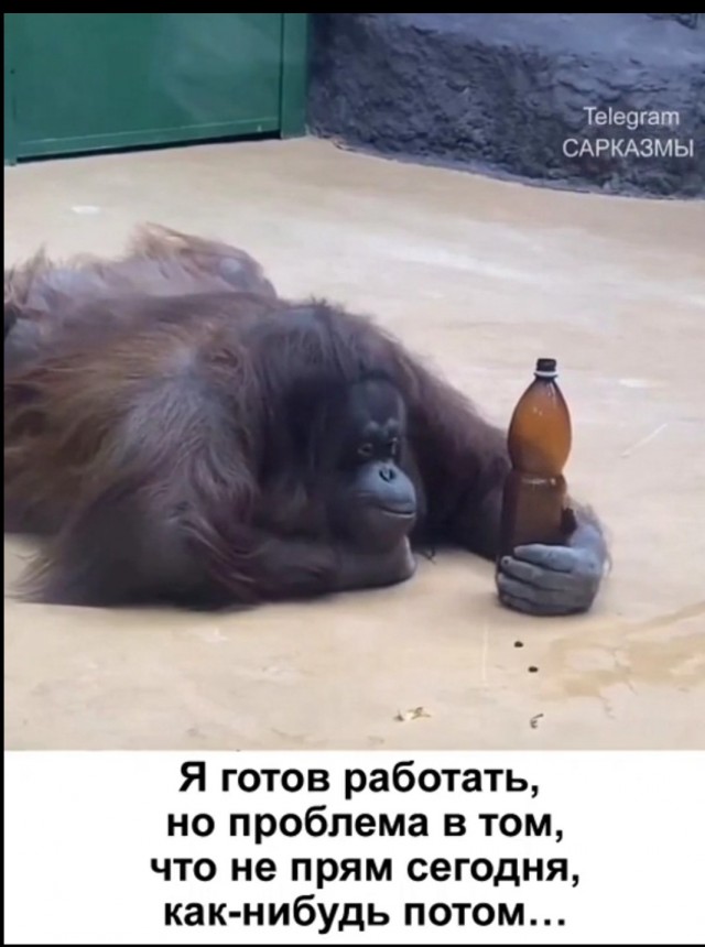 20 забавных  картинок