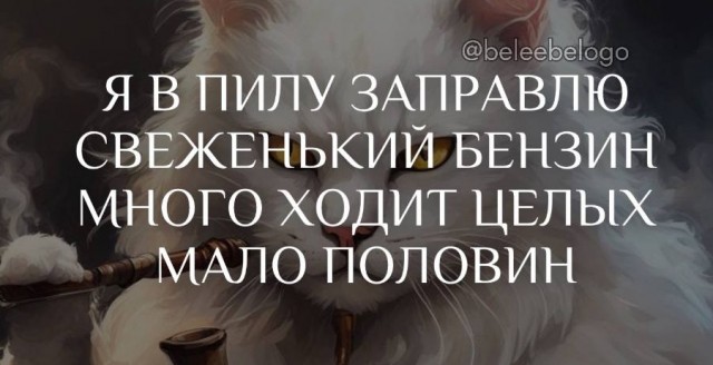 Всего понемногу. От 02.12.2024