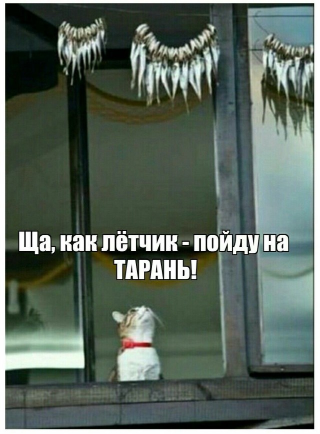 Завалялось тут случайно немного забавных картинок
