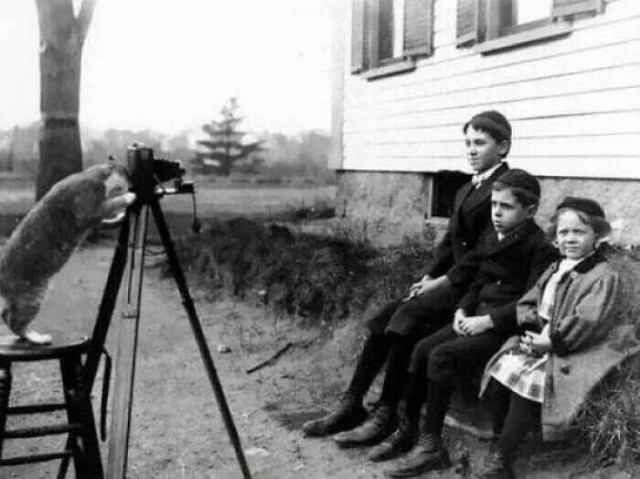 Секреты старых снимков: подборка интересных исторических фотографий