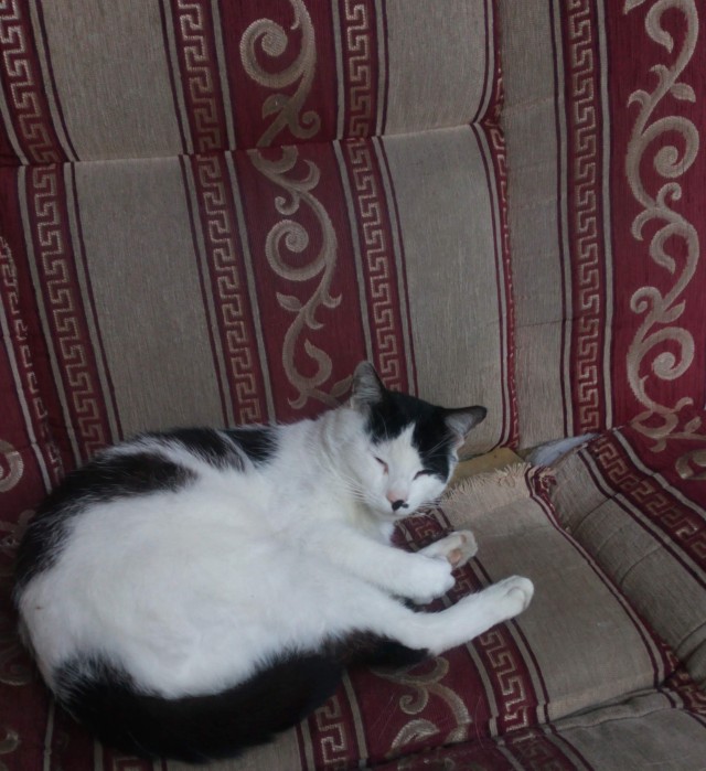 Было — Стало