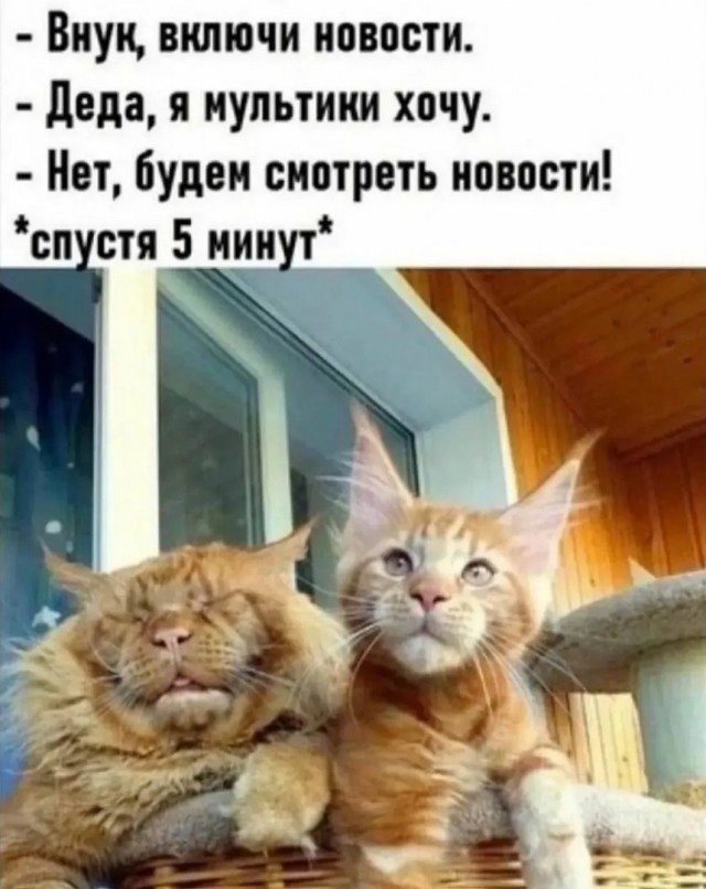Завалялось тут случайно немного забавных картинок