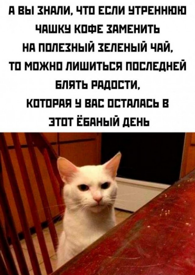 Так себе картинки 18.03.25