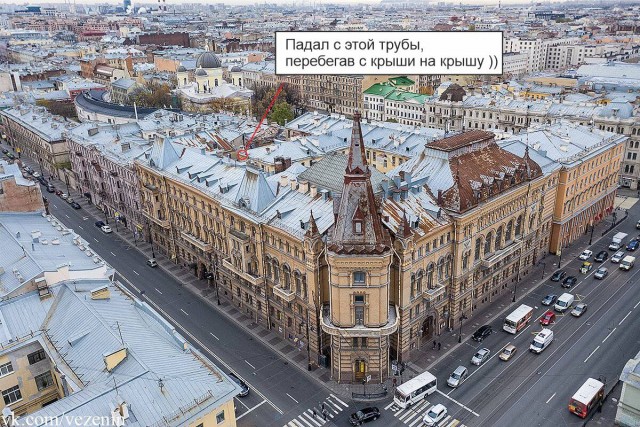 В мире животных