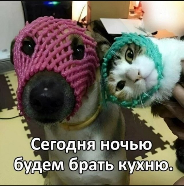 Интернет мемы на утро субботы