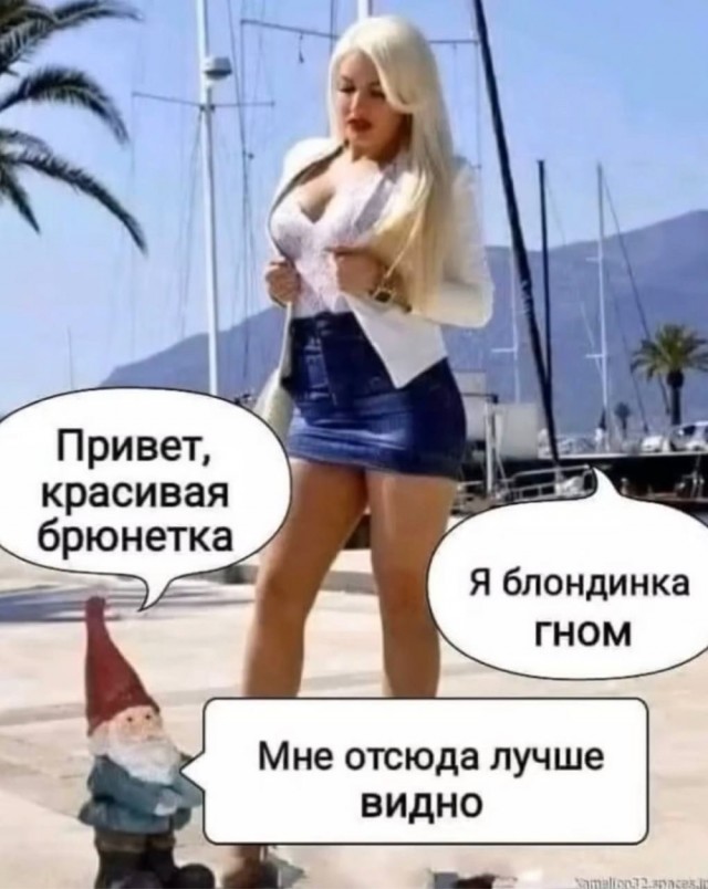 Так себе картинки 31.05.25