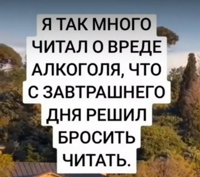 Веселое настроение в картинках 08.08.25